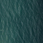 POINT CARTWRIGHT (9544-424i) Preview 3