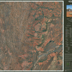 Prickly Bush (6958-33i) Preview 1