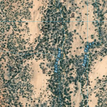 Quilpie (7744-134i) Preview 3