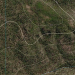 Reedy Creek (8747-121i) Preview 2