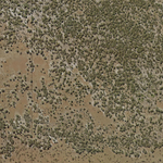 Scott Creek (8357-114i) Preview 3