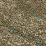 Southernwood (8450-424i) Preview 3