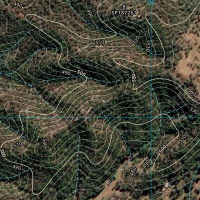 The Palms (9244-222i) Preview 3