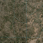 Toondoonnananigy (9146-311i) Preview 2