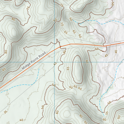 Zamia Hill (8656-424) Preview 2