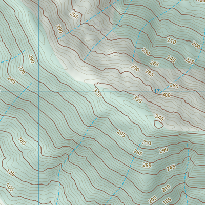 Zamia Hill (8656-424) Preview 3