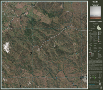 ZAMIA KNOB (9050-223i) Preview 1