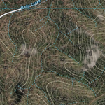 ZAMIA KNOB (9050-223i) Preview 2