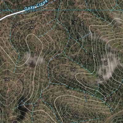 ZAMIA KNOB (9050-223i) Preview 2