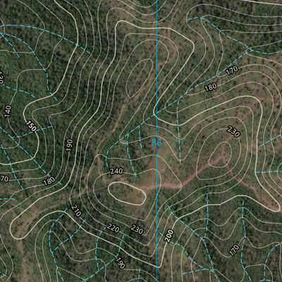 ZAMIA KNOB (9050-223i) Preview 3