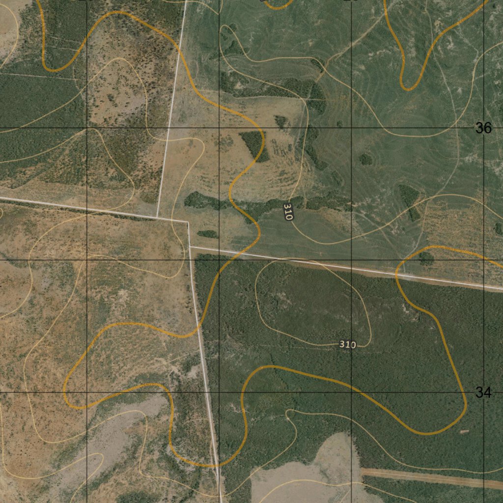 Bidgel (8742-1i) Map by Department of Resources | Avenza Maps