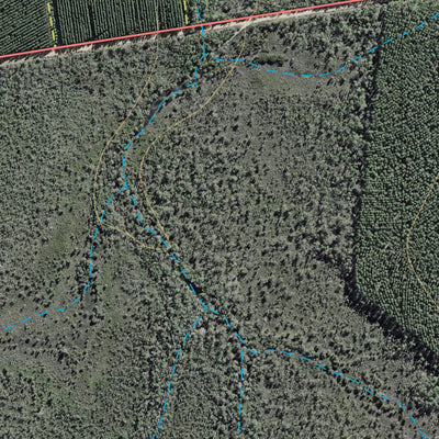 Department of Resources Big Tuan (9446-133i) digital map