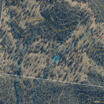 Department of Resources Blackbutt (9344-333i) digital map