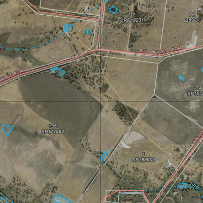 Department of Resources Brigalow (9044-24i) digital map