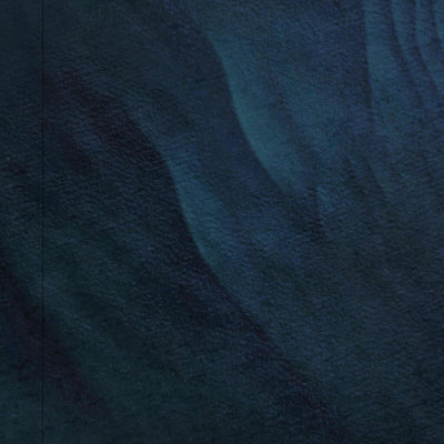 Department of Resources Cape Capricorn (9151-323i) digital map