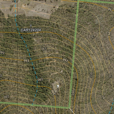 Department of Resources Cardwell (8161-343i) digital map