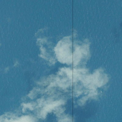 Department of Resources Coconut Island (7577-413i) digital map