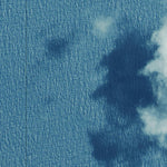 Department of Resources Coconut Island (7577-444i) digital map