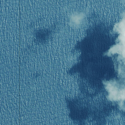 Department of Resources Coconut Island (7577-444i) digital map