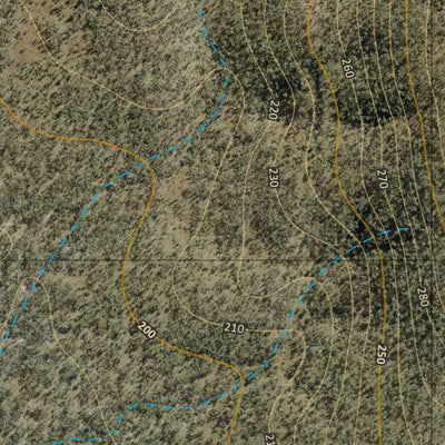 Department of Resources Collaroy (8753-411i) digital map