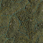 Department of Resources Daintree (7965-241i) digital map