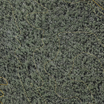 Department of Resources Fig Tree Lake (9546-433i) digital map