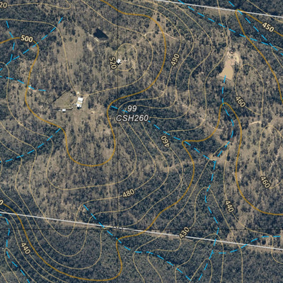 Department of Resources GOLDEN GULLY (9243-111i) digital map