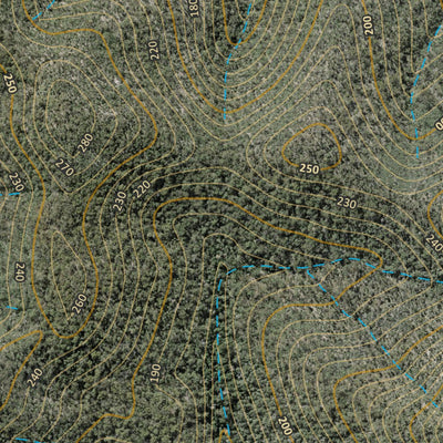 Department of Resources Miriam Vale (9249-341i) digital map