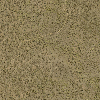 Department of Resources Morpeth (8653-433i) digital map