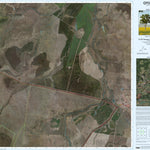 Department of Resources Rolleston (8649-33i) digital map