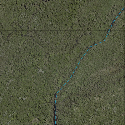 Department of Resources Tully Heads (8161-443i) digital map