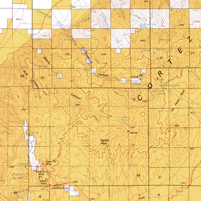 Digital Data Services, Inc. Crescent Valley, NV - BLM Surface Mgmt. digital map