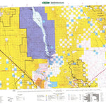 Digital Data Services, Inc. Davis Dam, AZ - BLM Surface Mgmt. digital map