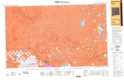 Digital Data Services, Inc. Gallup, NM - BLM Surface Mgmt. digital map