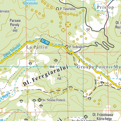 DIMAP Bt. Padurea Craiului Mountains / Királyerdő-hegység digital map