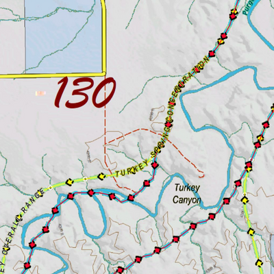 Turkey Concentrations for CO Unit 130 Preview 2