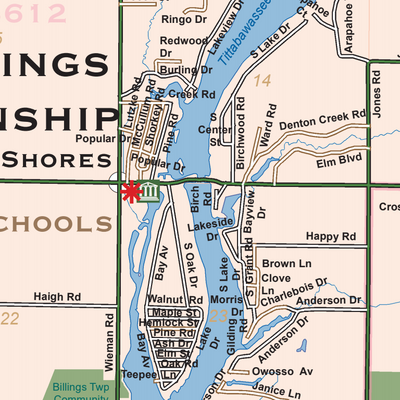 Billings Township, Gladwin County, Michigan Preview 3