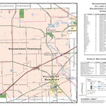 Shiawassee Township and Village of Bancroft, Shiawassee County, Michigan Preview 1