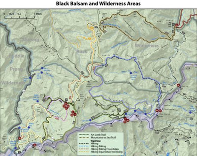 Earth Geographics Black Balsam Map 8 by6 52k digital map