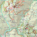 CARTA 18 APPENNINO TOSCO-EMILANO MODENESE E DELLA GARFAGNANA - FOGLIO OVEST Preview 3