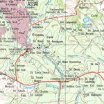 ENGESAT INTERNATIONAL ASSAÍ digital map