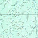 ENGESAT INTERNATIONAL CABECEIRA DO IGARAPÉ PIRANHAQUARA digital map