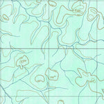 ENGESAT INTERNATIONAL CABECEIRA DO IGARAPÉ PIRANHAQUARA digital map
