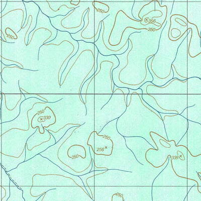ENGESAT INTERNATIONAL CABECEIRA DO IGARAPÉ PIRANHAQUARA digital map