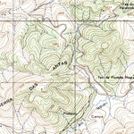 ENGESAT INTERNATIONAL CAMANDUCAIA digital map