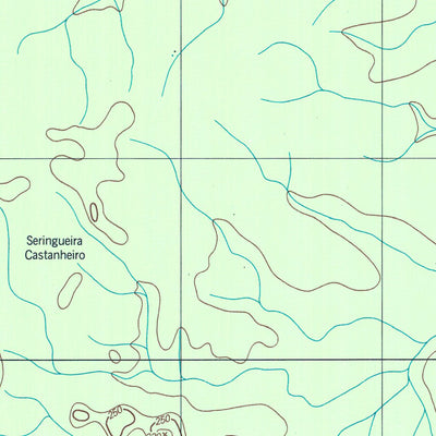 ENGESAT INTERNATIONAL FAZENDA CASTANHAL digital map