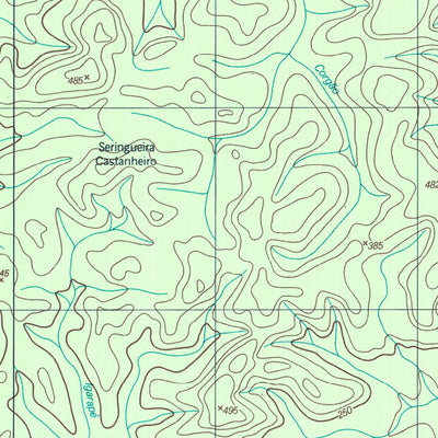 ENGESAT INTERNATIONAL FAZENDA CASTANHAL digital map