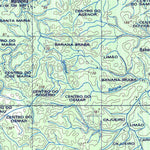 ENGESAT INTERNATIONAL FLORESTA digital map