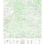 ENGESAT INTERNATIONAL FOZ DO RIO DOCE digital map