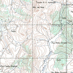 ENGESAT INTERNATIONAL GUAPÉ digital map